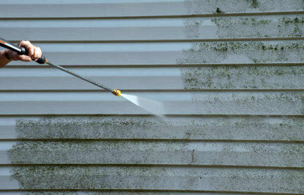 Best Mold Cleaning Services  in Ball, LA