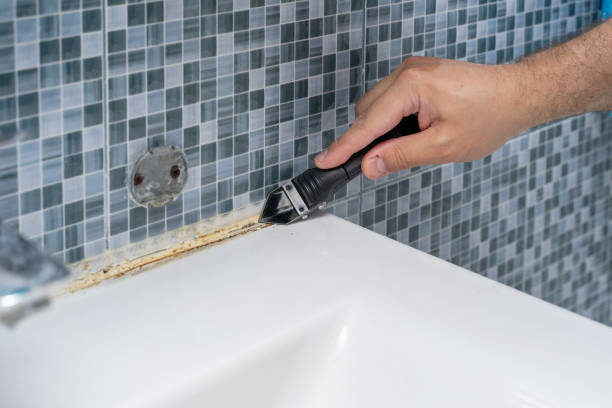 Best Home Mold Removal  in Ball, LA