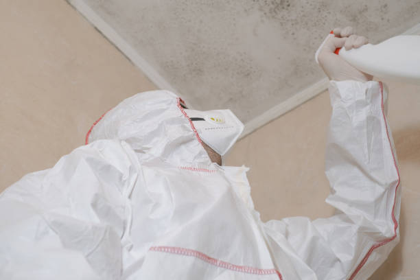 Best Mold Inspection  in Ball, LA