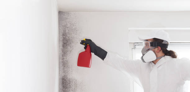  Ball, LA Mold Removal Pros