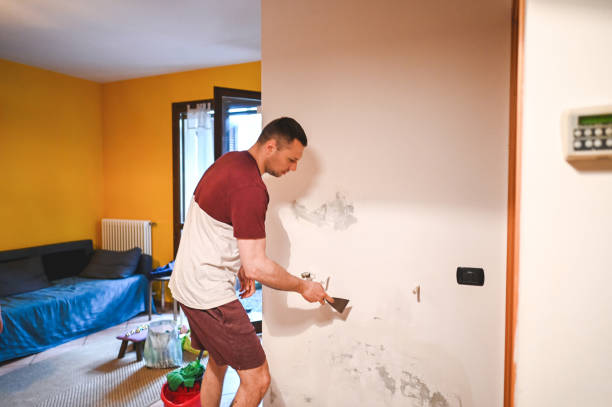 Best Professional Mold Removal  in Ball, LA